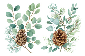 Watercolor Eucalyptus and Pine Cone Arrangement for Christmas vector illustration  © Tanvir Rana