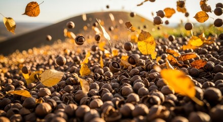 Brown Walnuts and Yellow Leaves Falling on Rural Hillside in Autumn
