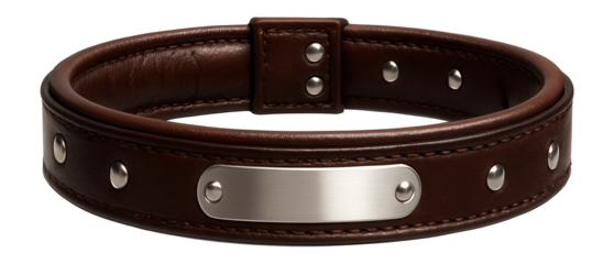 Padded dog collar with nameplate and rivets