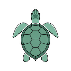 Fototapeta premium Green Sea Turtle Illustration Top View.