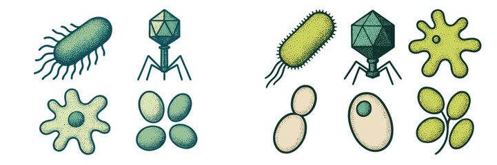 Scientific collection of diverse microscopic organisms including bacteria viruses amoebas and yeast cells for biology and research purposes and educational materials in science