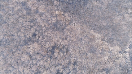 Aerial view of winter forest covered with snow