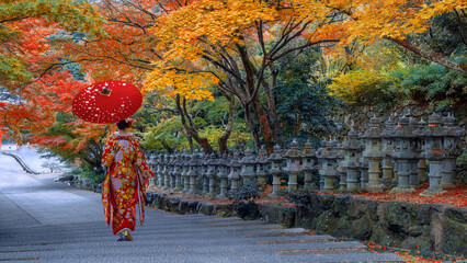 Japanese Woman in Traditional Kimono Dress at Katsuoji Temple with beautiful foliage in autumn in...