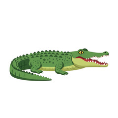 Fototapeta premium Green Crocodile with Open Mouth and Sharp Teeth.