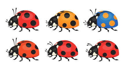 Obraz premium Set of Six Cute Ladybugs in Different Colors and Poses.
