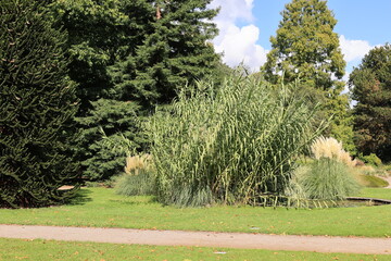 Blick in den Botanischen Garten der Stadt Köln