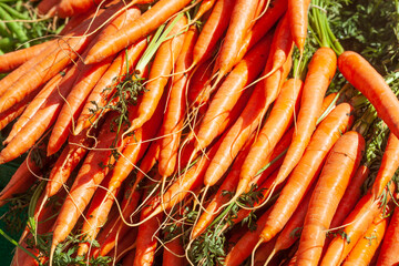 Karotten auf einem Marktstand, Deutschland