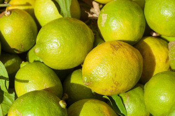Zitronen auf einem Marktstand, Deutschland