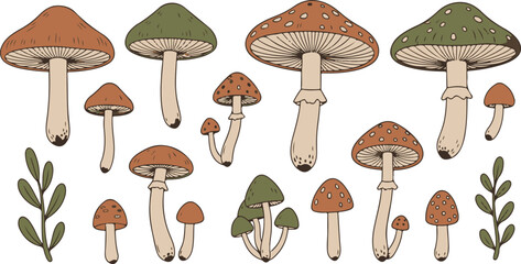 Hand Drawn Mushroom Illustration Collection vector set
