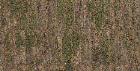 Rough Tree Bark Texture with Green Moss Detail