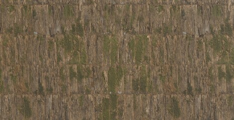 Rough Tree Bark Texture with Green Moss Detail