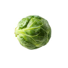 Obraz premium Brussels sprout with fresh green leaves and subtle shine, healthy vegetable ready for cooking