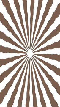 zebra skin  Spiral, retro style, color swirl, vintage pattern, geomatric design, radial lines, bold tone, circular motion, optical vibe, dynamic loop