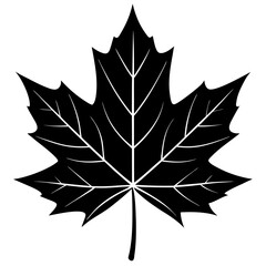 maple leaf vector silhouette on white background