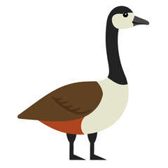 Vector of Canada Goose on white background