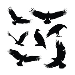 Silhouettes of Eagles and Vultures in Flight and Landing Poses