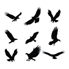 Silhouettes of Eagles and Vultures in Flight and Landing Poses
