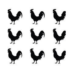 Silhouettes of Roosters in Various Standing Poses