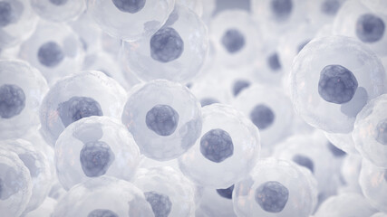 Mesenchymal stem or stromal cells (MSC). Embryonic stem cells concept. Targeting cancer with engineered mesenchymal stem cells. MSC based immunotherapy and cancer treatment