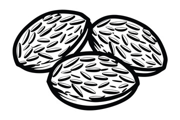 Black and white line drawing shows three nuts with kernels inside the shells