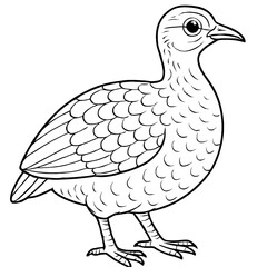 A tinamou bird illustration vector style coloring page