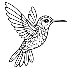 A hummingbird illustration vector style coloring page