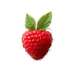 Ripe red raspberry with green leaf, fresh fruit closeup, sweet berry appetizing
