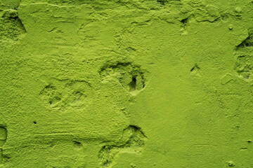 Mur de briques peint en vert.