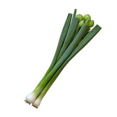 Spring onion bundle with fresh green stalk and white bulb, crisp texture and bright color evoking freshness