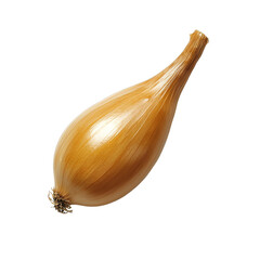 Golden shallot with glossy papery skin and long neck, culinary ingredient evoking savory aroma and cozy cooking