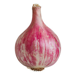 Roasted garlic bulb with pink and white papery skin, rustic kitchen ingredient evoking warm aroma