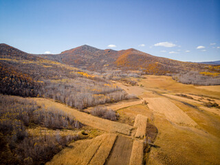 Golden autumn scenery in Arxan, Inner Mongolia, China