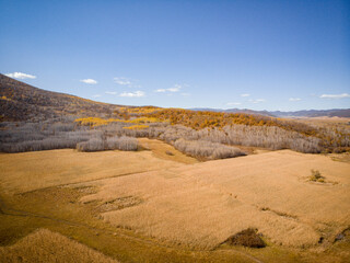 Golden autumn scenery in Arxan, Inner Mongolia, China
