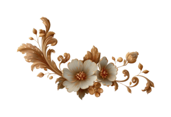 Elegant floral design digital minimalist nature inspired isolated on transparent background, png