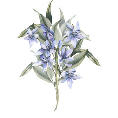 Floral bouquet with spring blue flowers and eucalyptus leaves watercolor illustration. Hand drawn petal botanical clipart, romantic flora for card,invitation, rustic design. Filed wind flowers