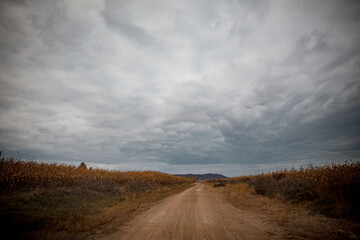 Golden autumn scenery in Arxan, Inner Mongolia, China