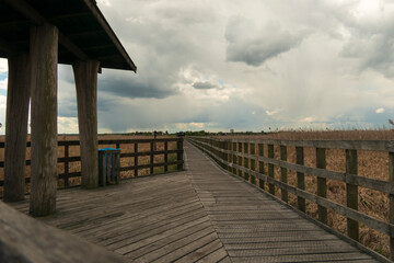 Obraz premium Paths along Narew National Park. Cloudy day.