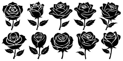 Rose silhouette on white background
