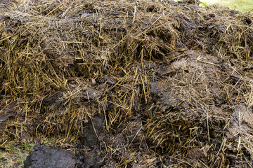 Closeup of manure ready to be spread in an organic garden.