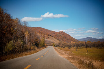 Golden autumn scenery in Arxan, Inner Mongolia, China