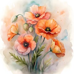 Watercolor bouquet of orange and peach poppies. Delicate spring floral illustration. A gentle hand-painted artwork of wildflowers and buds on a soft wash background.