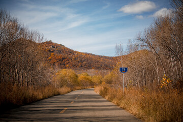 Golden autumn scenery in Arxan, Inner Mongolia, China