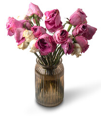 wilted bouquet of roses in a vase isolated