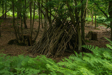 A rustic woodland shelter made of branches in a serene forest setting, ideal for outdoor activities and nature exploration.