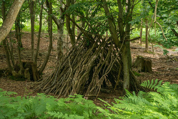 A natural shelter built from twigs and branches in a lush green forest, showcasing the beauty of the outdoors.