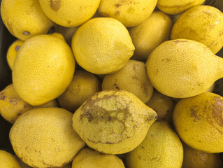 Close-up of a pile of fresh yellow lemons with natural imperfections