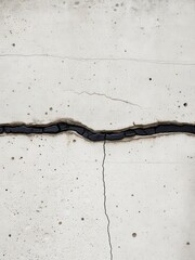Cracked concrete surface urban location image type industrial environment close-up view structural integrity concept
