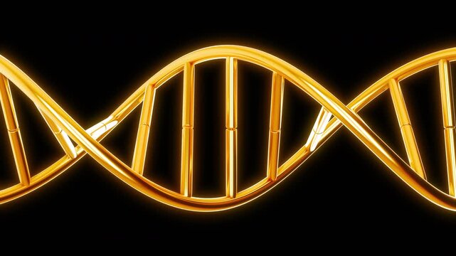 Rotation DNA double helix strip from yellow chrome or gold isolated on black background. Futuristic abstract 3d animation for science, medical or biotechnology.