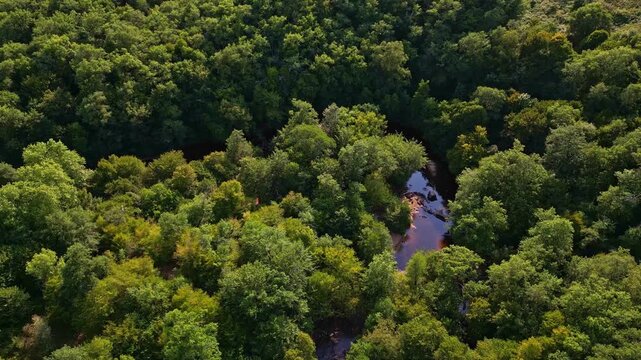 Aerial perspective revealing ford Gu&egrave; Giraud. with verdant forest canopy wrapping around curving river near Saint Junien and Glane river, Haute-Vienne, France, capturing lush woodland from above