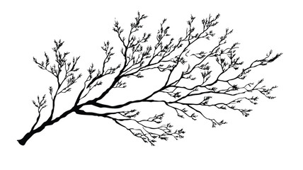 Naklejka premium Detailed Vector Illustration of Bare Tree Branches with Leaves in Autumn